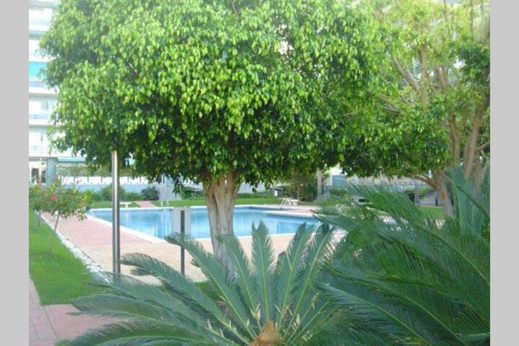 Apartamento Athenea Gandía Esterno foto