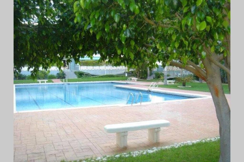 Apartamento Athenea Gandía Esterno foto